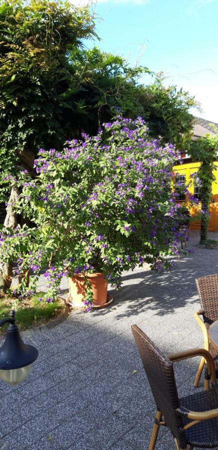 Hotel Wein & Gastehaus Hermeshof Trittenheim Exterior foto